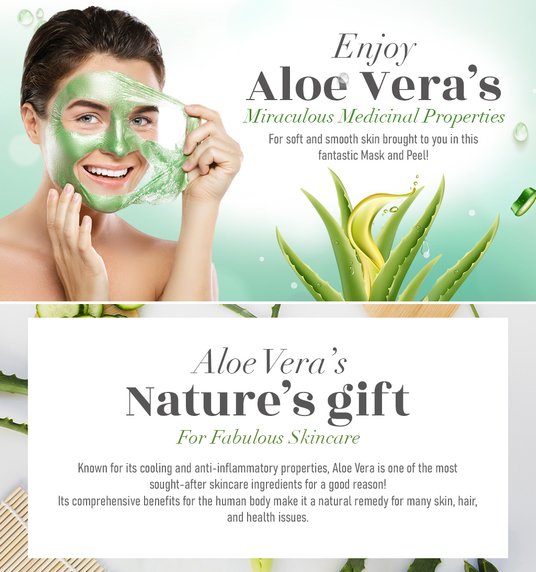 aloe vera pflanze garten Aloe Vera, Jumbo mit Aloe Gel – toskanagartenshop main image 0