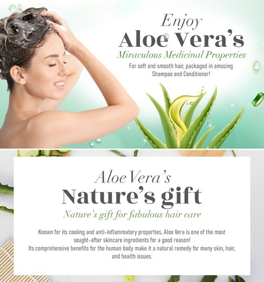 Buy Morewell Aloe Vera Shampoo for Silky Shiny Hair - 100 ml - Shampoo for  Unisex 17716402 | Myntra