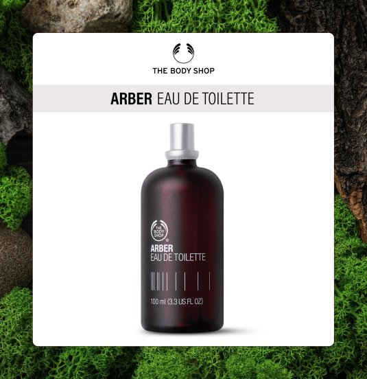 Arber body shop best sale