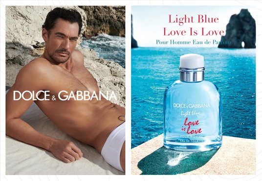Perfume Light Blue Love Is Love Perfume Dolce And Gabbana Light