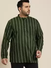 Plus Size Men Striped Kurta