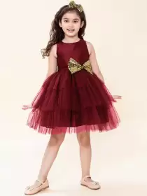 Girls Layered Net Dress