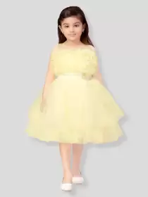 Girls Fit and Flare Net Dress