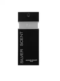 Men Silver Scent EDT 100 ml