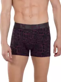 Men Printed Trunks