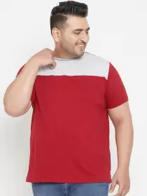 Plus Size Colourblocked Round Neck Pure Cotton T-shirt