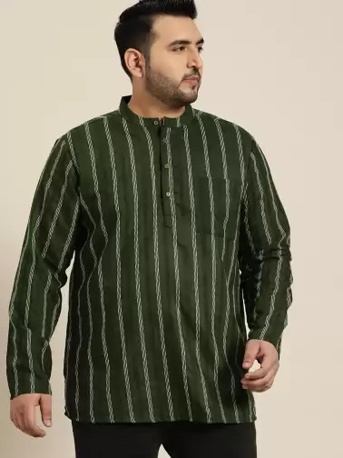 Plus Size Men Striped Kurta - image 2