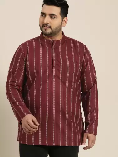 Plus Size Men Striped Kurta - image 2