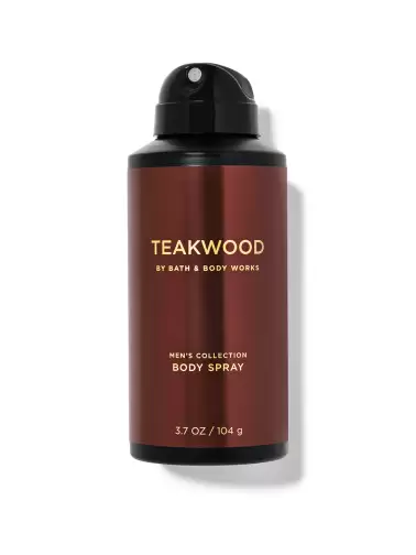 Men Teakwood Body Spray-104g - image 2