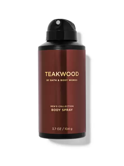 Men Teakwood Body Spray-104g - image 3