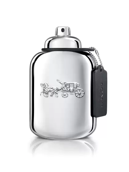 New York Men Platinum EDP - image 3