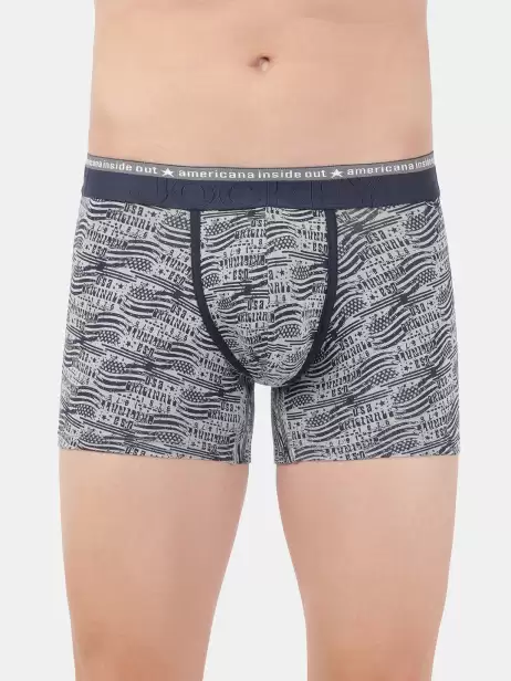 Men Grey Printed Trunks - image 4