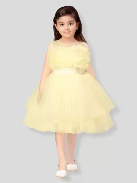 Girls Fit and Flare Net Dress - image 4