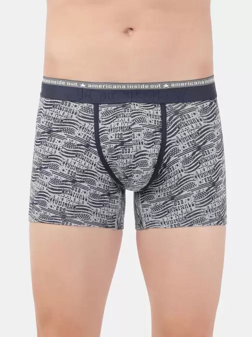 Men Grey Printed Trunks - image 5