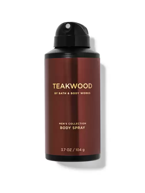 Men Teakwood Body Spray-104g - image 5