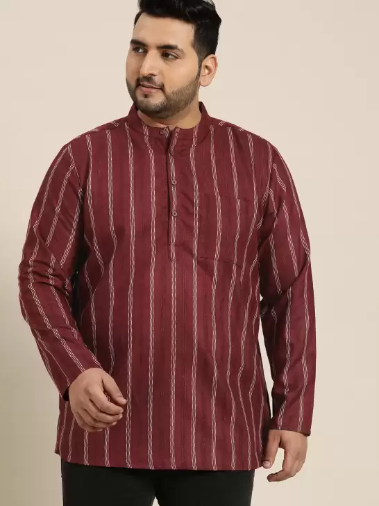 Plus Size Men Striped Kurta - image 6