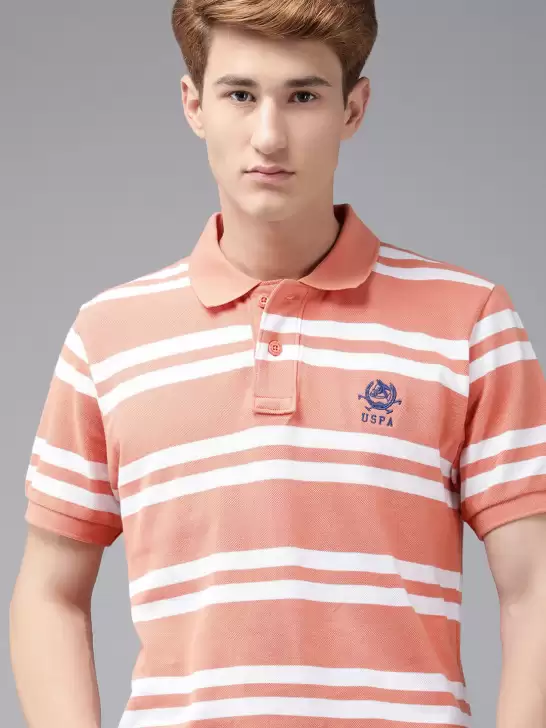 Men Striped Polo Collar Slim Fit T-shirt - image 6