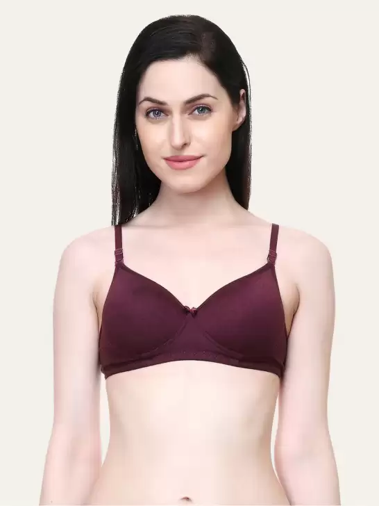 Lightly Padded T-shirt Bra - image 6
