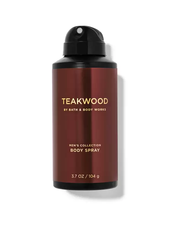 Men Teakwood Body Spray-104g - image 7