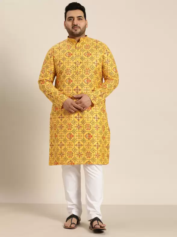 Men Ethnic Motifs Printed Kurta - image 7