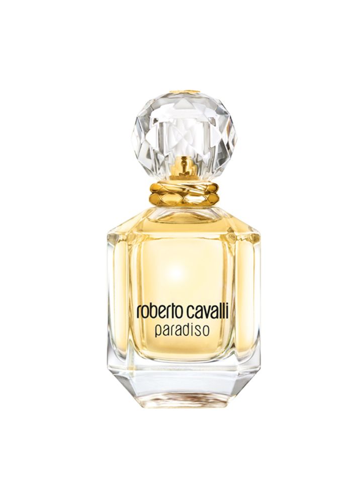 Perfume roberto cheap