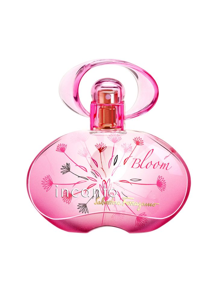 incanto bloom perfume price