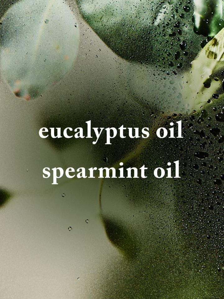 Eucalyptus spray bath online and body works