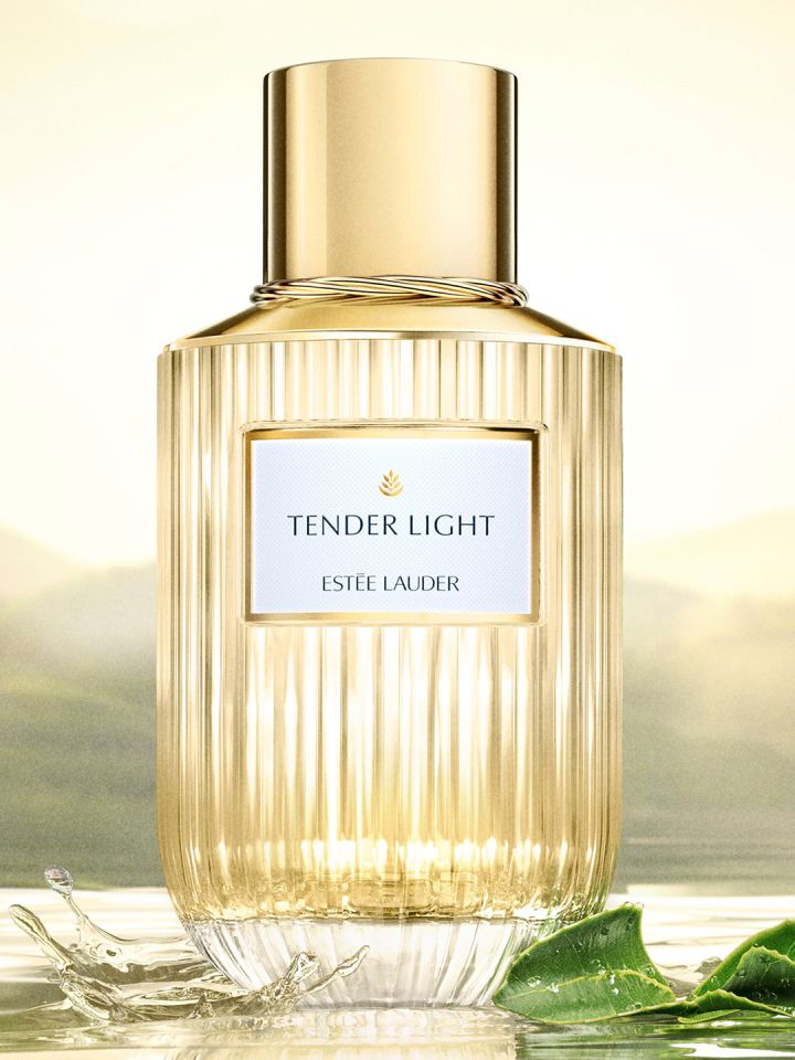 Tender lady sale perfume