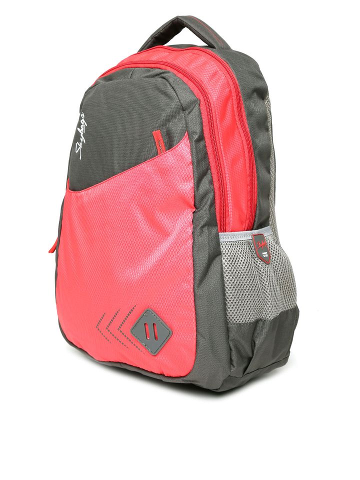 skybags grey colour