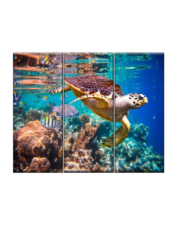 Reef cushion sale truss