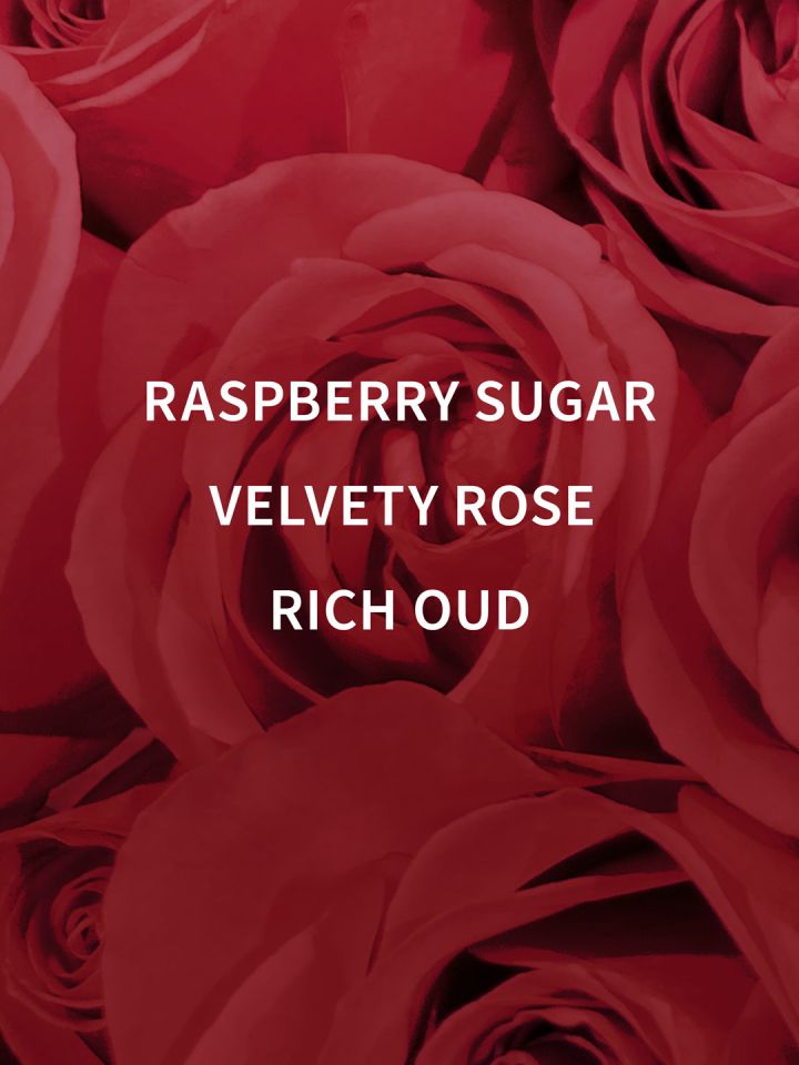 Velvet rose & oud shower cream store