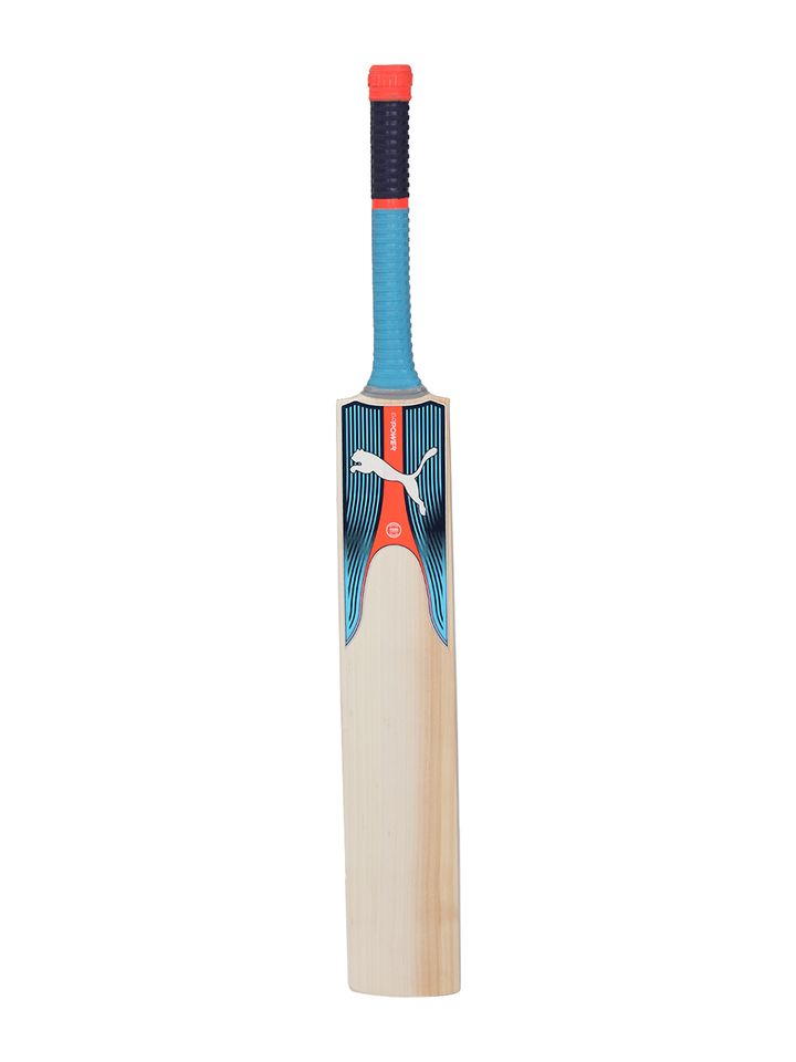 puma evopower 2 cricket bat