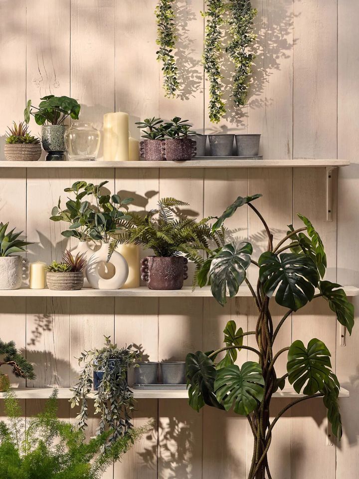 Buy Marks Spencer Green Eucalyptus Artificial Plants With Pot