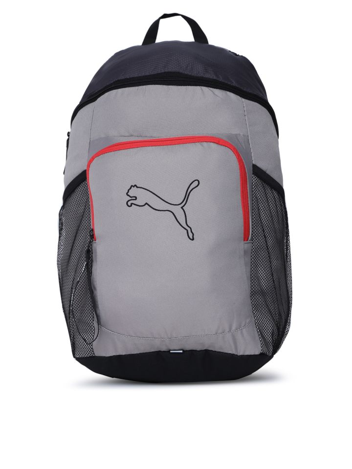 Buy Puma Unisex Grey Echo IND Backpack 