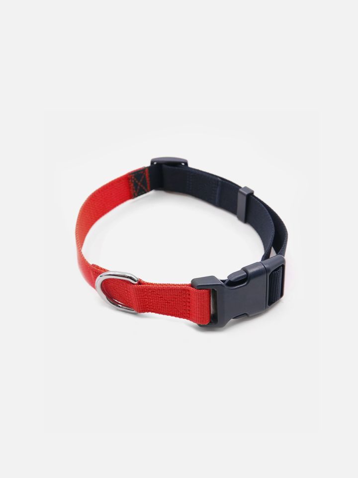 Tommy Hilfiger Webbing Training Dog Collars