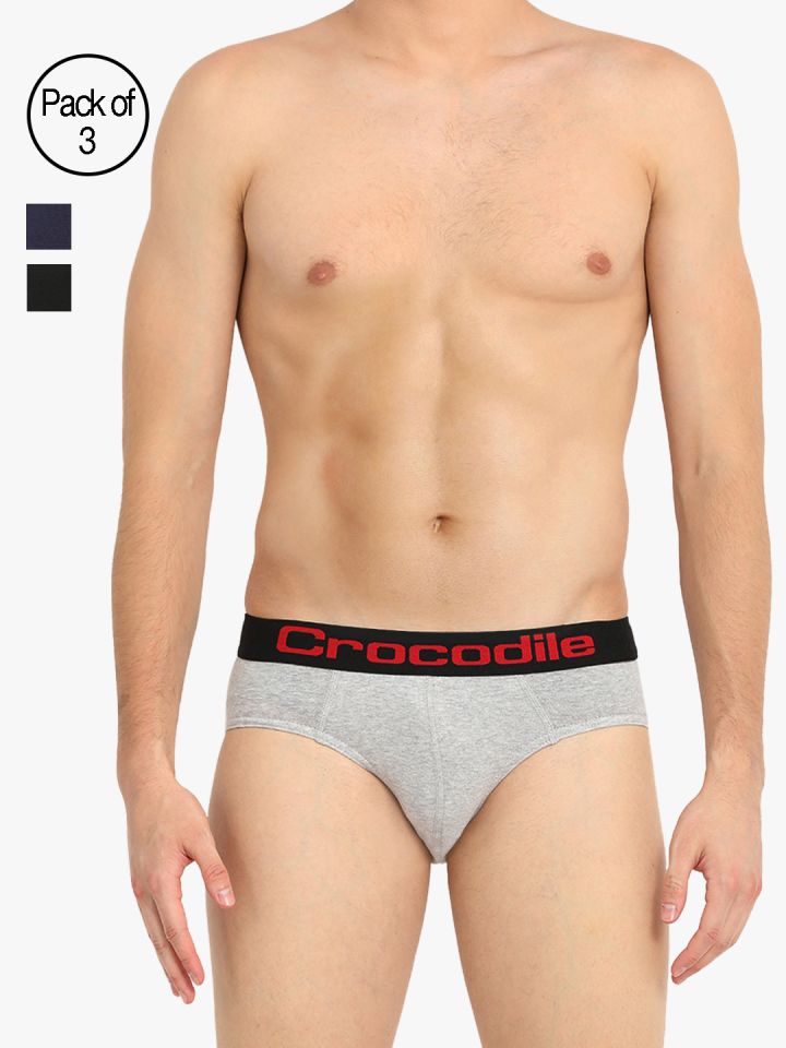 Crocodile Innerwear Men Grey Briefs Combo-4-EVAN-O4