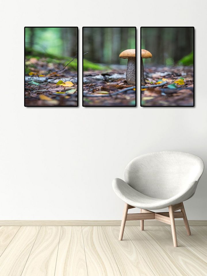 Buy 999store Multicoloured 3 Panel Mushroom Wall Art Wall Art For Unisex 7506551 Myntra
