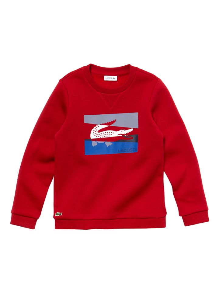 lacoste sweatshirt myntra