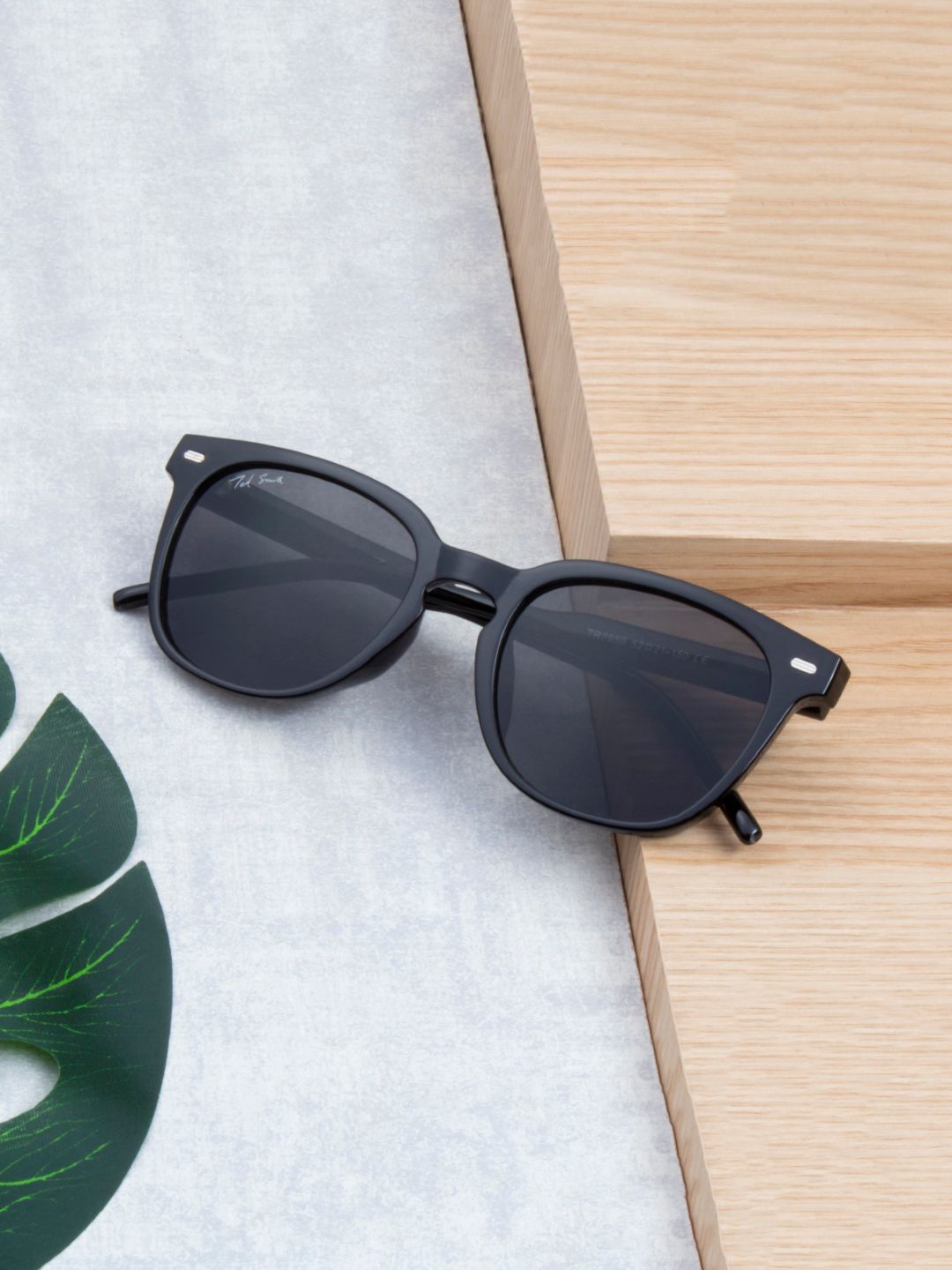 Buy Ted Smith Unisex Aesthetic Black Wayfarer Sunglasses With UV Protected Lens -  - Accessories for Unisex
