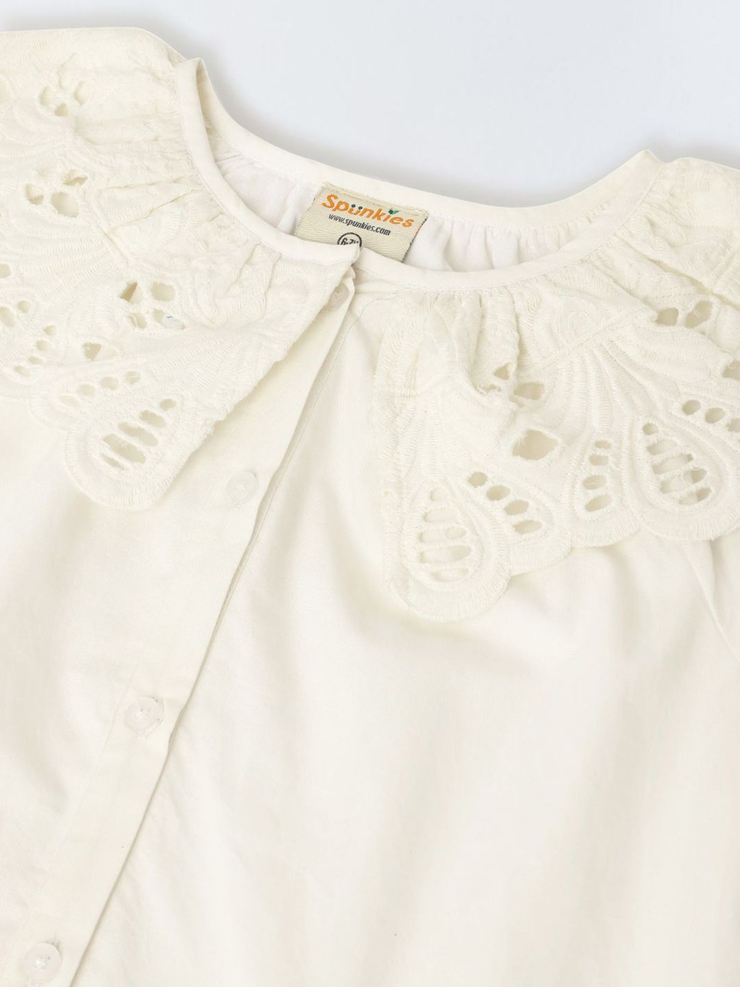 Puff Sleeve Drop-Waist Dress 3