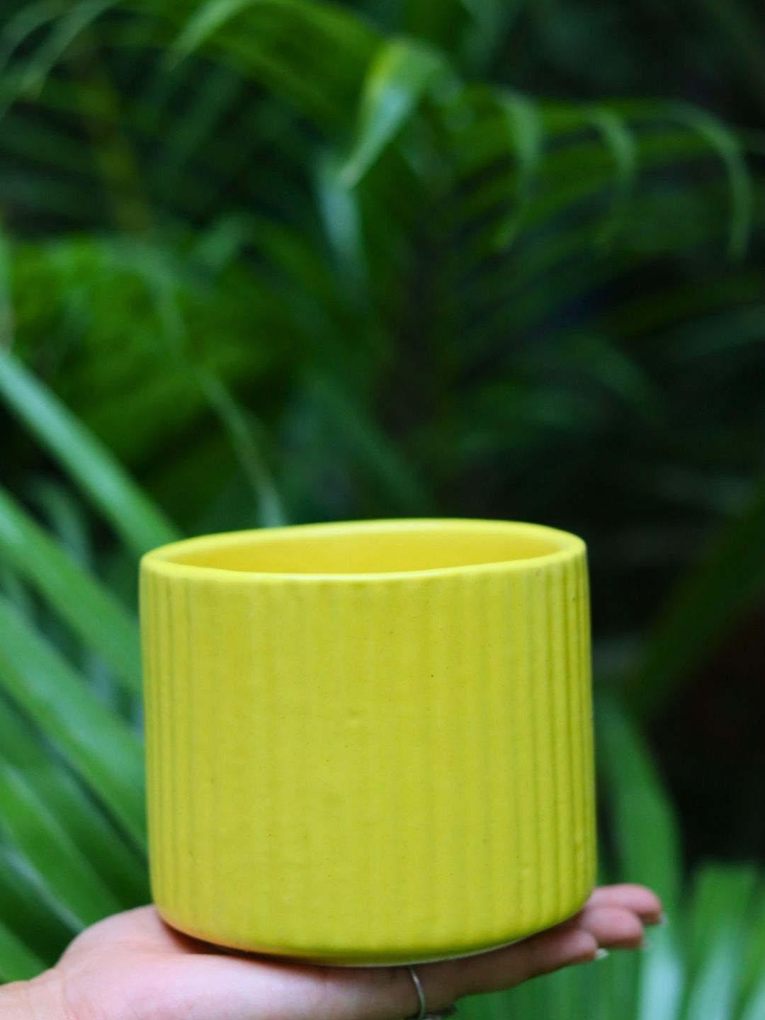 Buy WEAVING HOMES Yellow Textured Ceramic Round Shaped Planters -  - Home for Unisex