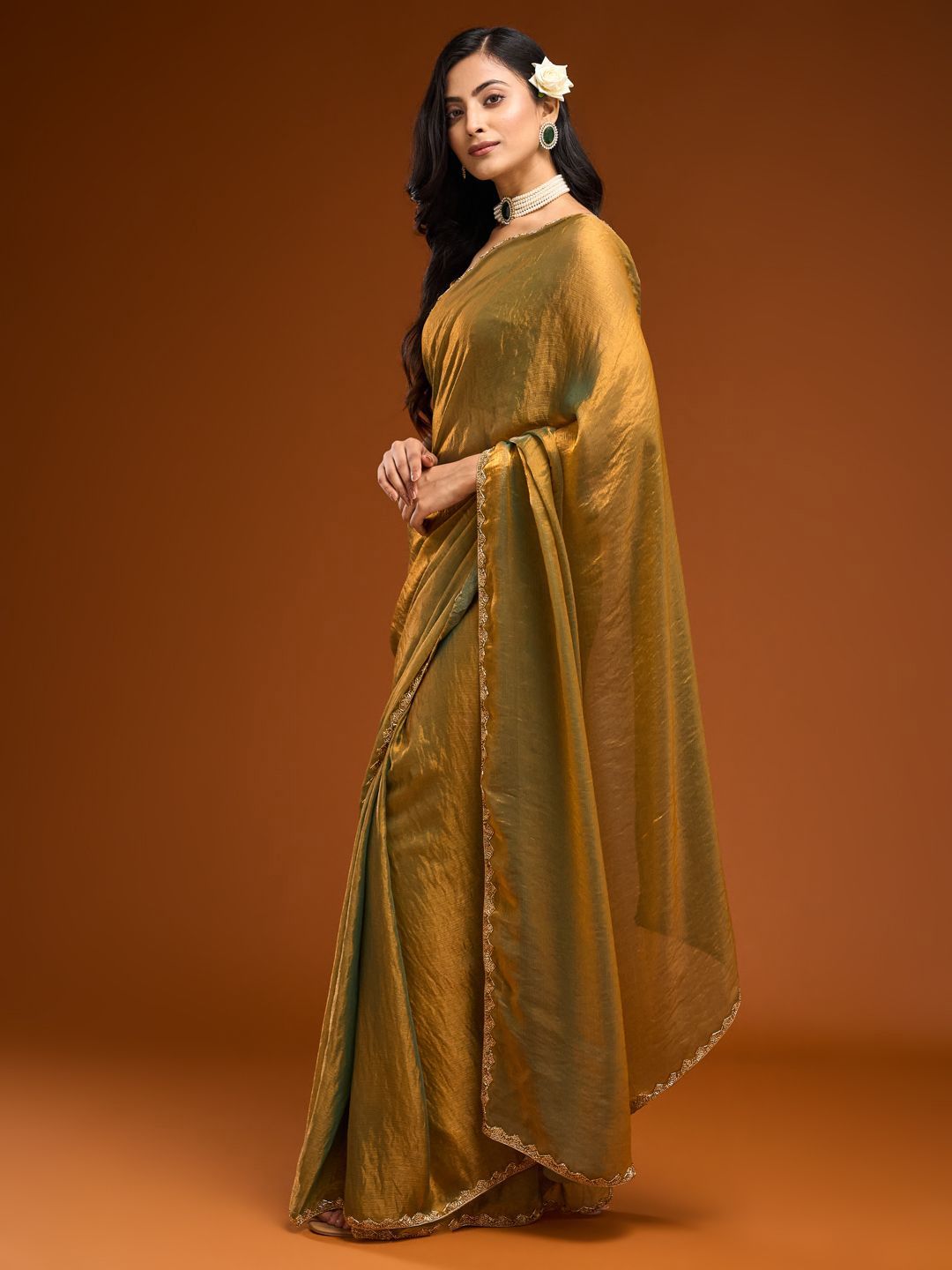 Solid Beads and Stones Saree 2