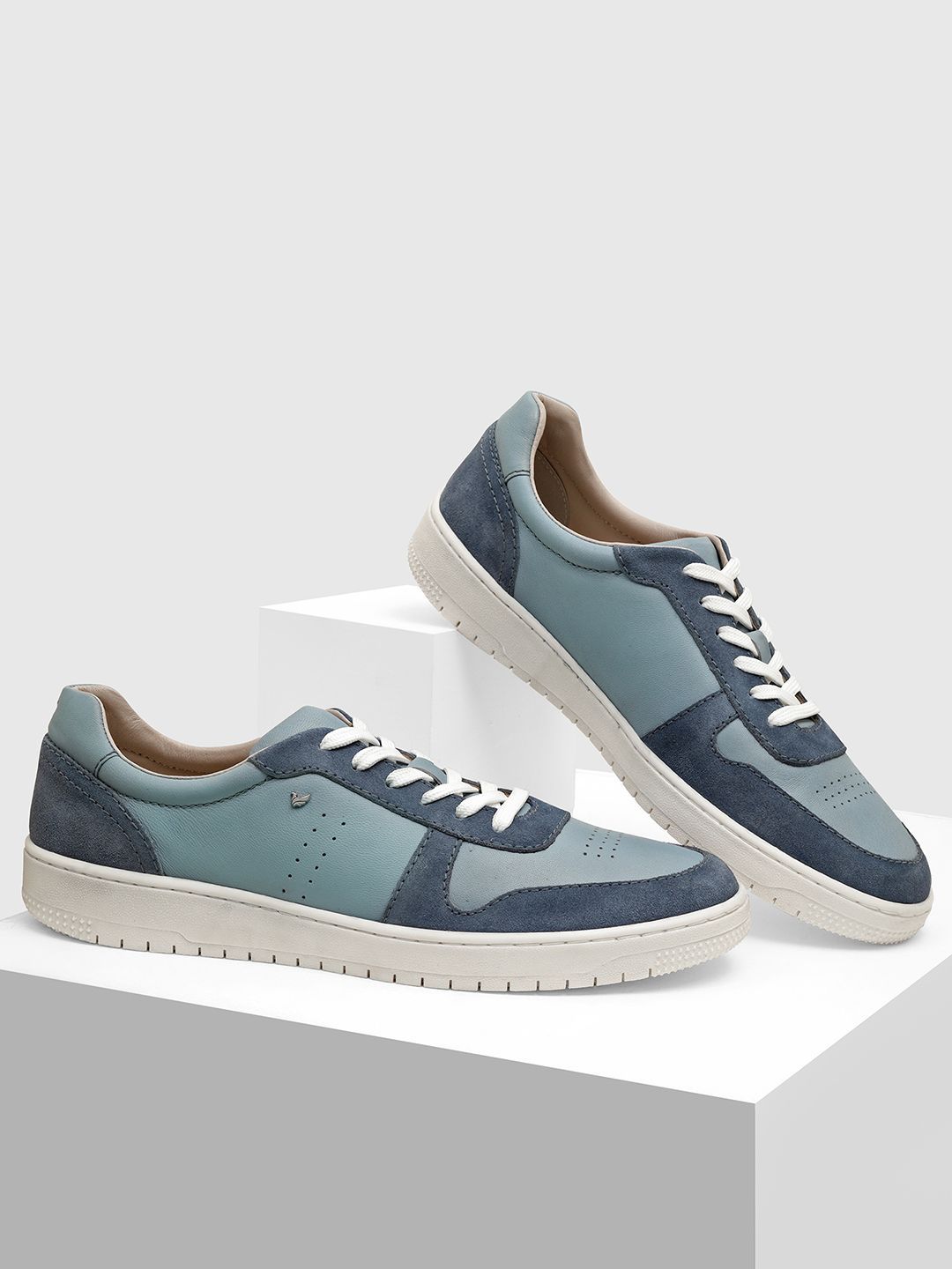 Blackberrys Men Leather Colourblocked Sneakers