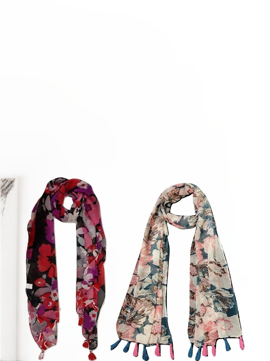 StoleVilla Women Pack of 2 Printed Chiffon Stoles