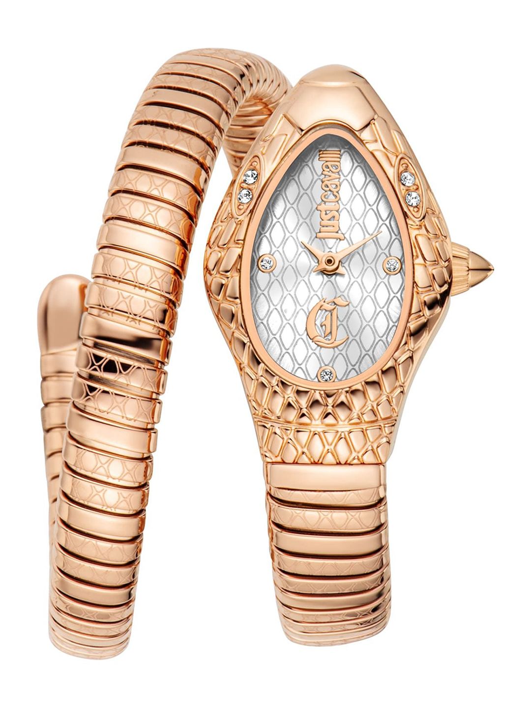Buy Just Cavalli Women Embellished Dial & Stainless Steel Straps Analogue Watch JC1L373M1045 -  - Accessories for Women