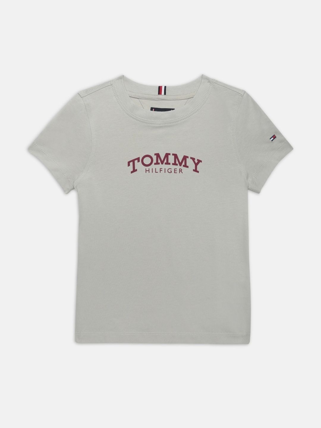 Tommy Hilfiger Boys  Cotton Tshirts