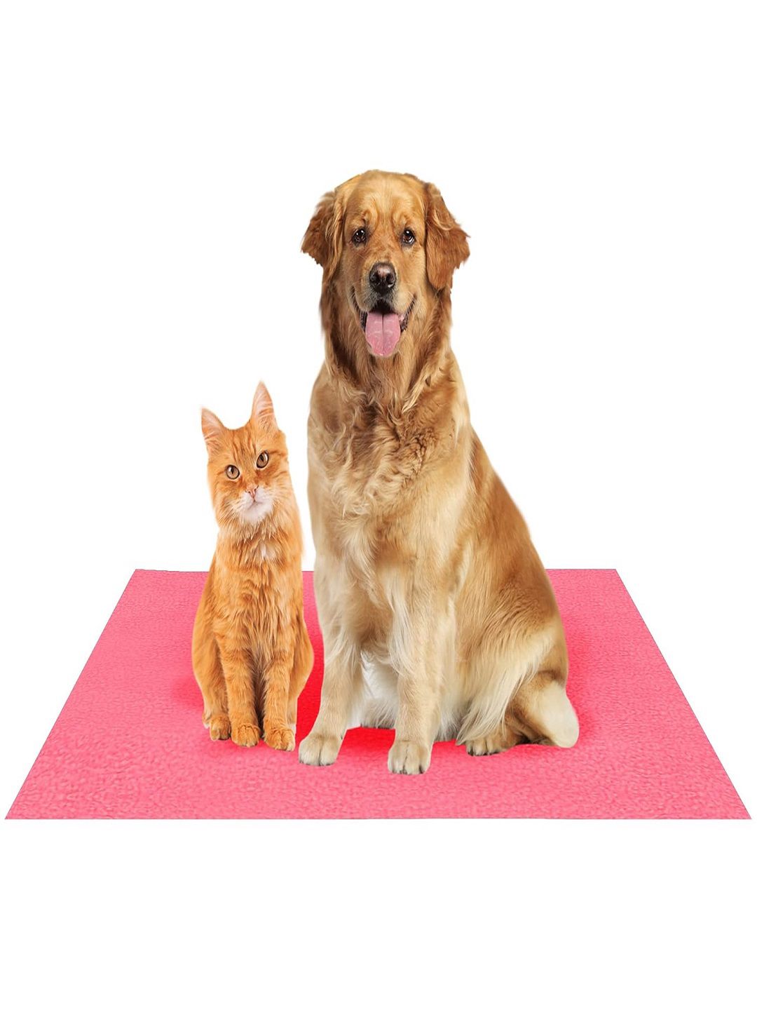 AMORITE Salmon Rose Waterproof Washable Pet Mat for Dogs and Cats