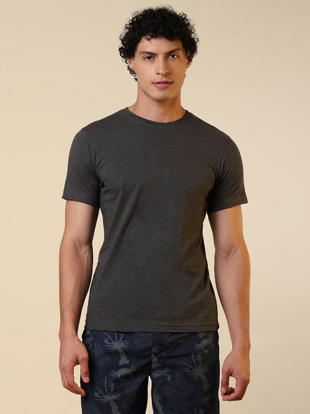 SleepZ by Raymond Round Neck Pure Cotton T-shirt