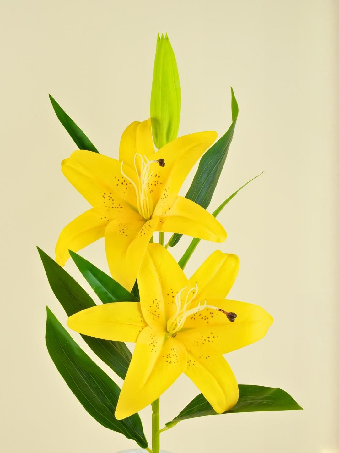 Interiors & More Yellow & Green 1 Pieces Lily Artificial Flower