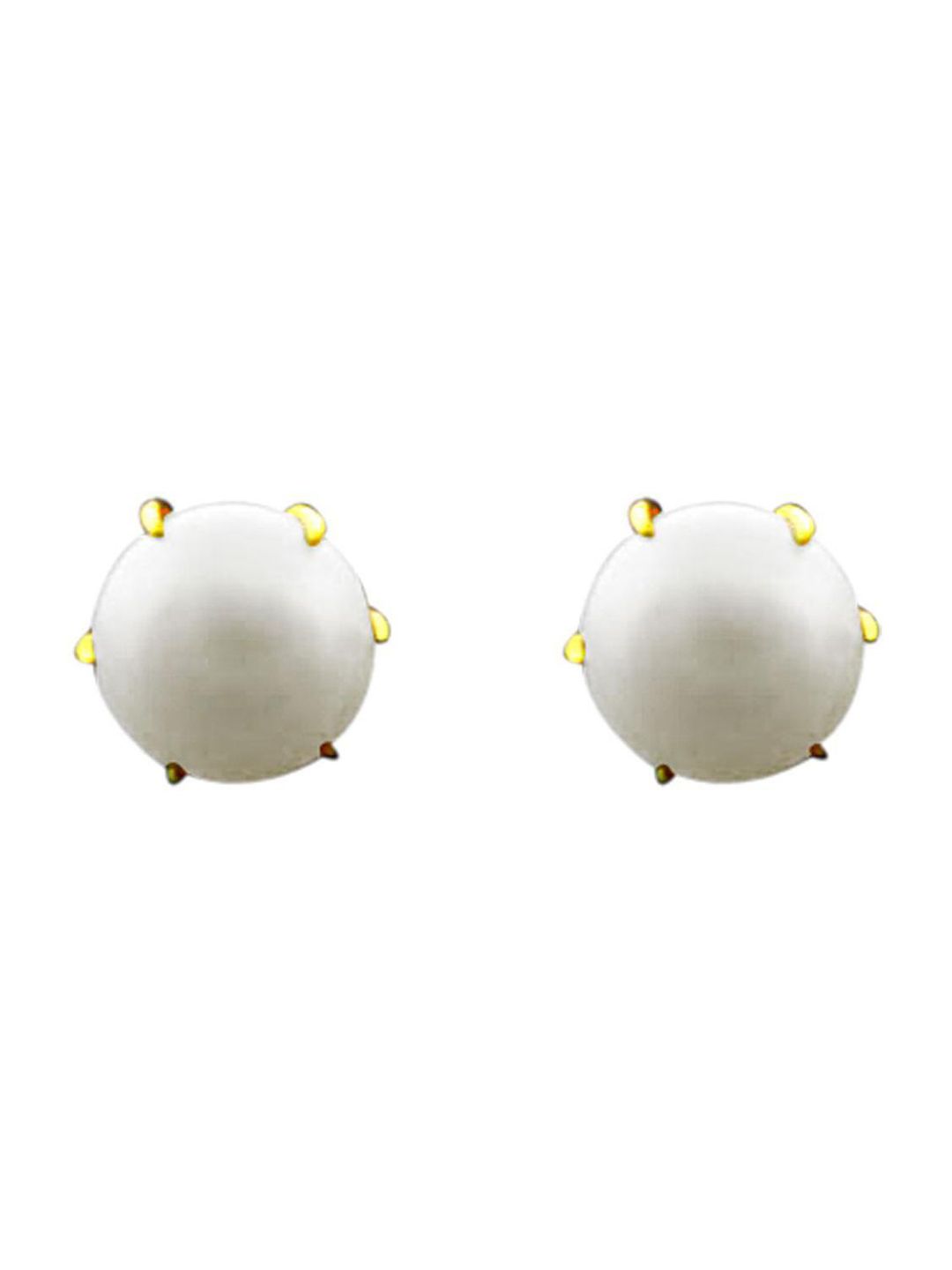 Sri Jagdamba Pearls Dealer Gold-Plated Pearls Beaded Contemporary Studs Earrings
